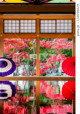 群馬 宝徳寺の床もみじ 138098029