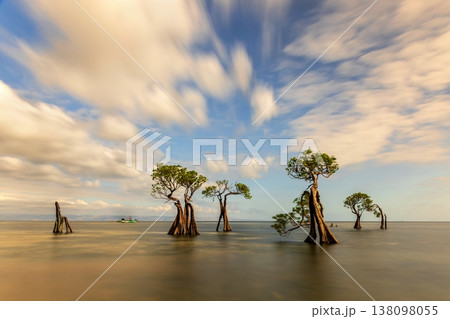 Beautiful tropical beach sea and ocean with mangrove tree on blue sky and white cloud Beautiful tropical beach sea and ocean with mangrove tree on blue sky and white cloud 138098055