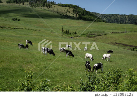 北海道の牧場 138098128