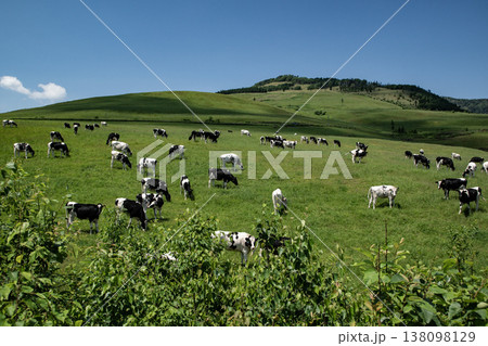 北海道の牧場 北海道の牧場 138098129