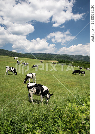 北海道の牧場 北海道の牧場 138098130