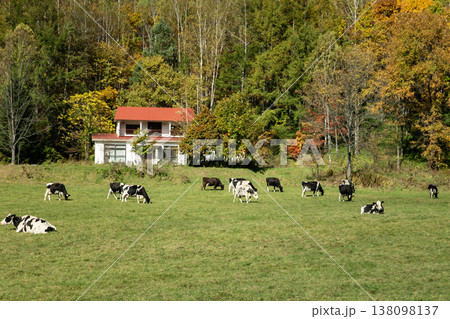 北海道の牧場 138098137