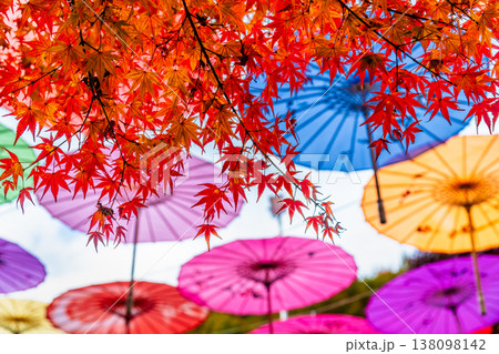 群馬 宝徳寺 空に浮かぶ和傘と紅葉 群馬 宝徳寺 空に浮かぶ和傘と紅葉 138098142