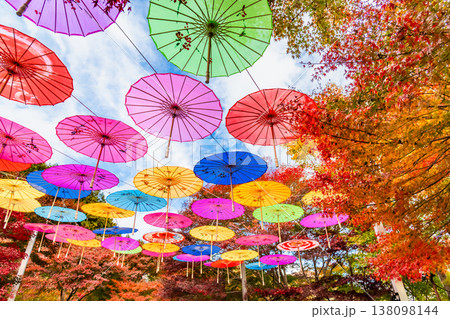 群馬 宝徳寺 空に浮かぶ和傘と紅葉 群馬 宝徳寺 空に浮かぶ和傘と紅葉 138098144