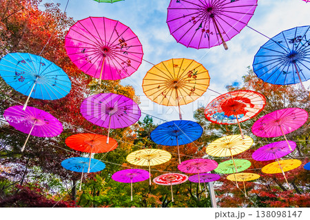 群馬 宝徳寺　空に浮かぶ和傘と紅葉 138098147