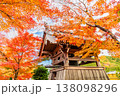 群馬 宝徳寺　紅葉に包まれる鐘楼 138098296