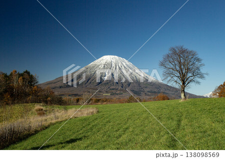 初冠雪の羊蹄山 138098569