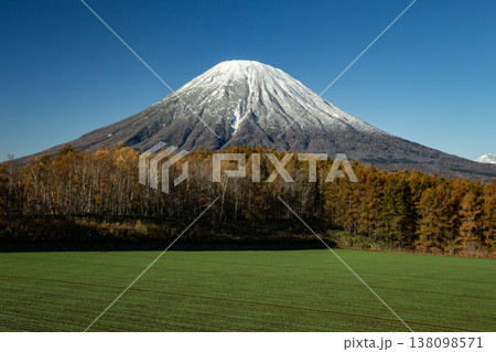 初冠雪の羊蹄山 138098571
