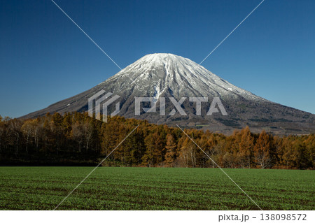 初冠雪の羊蹄山 138098572
