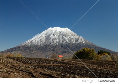 初冠雪の羊蹄山 138098580
