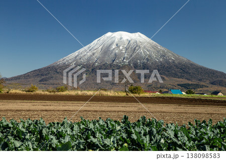 初冠雪の羊蹄山 138098583