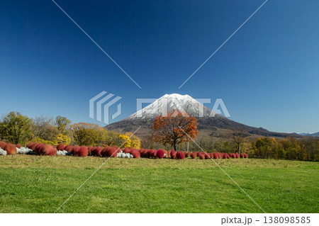 初冠雪の羊蹄山 138098585