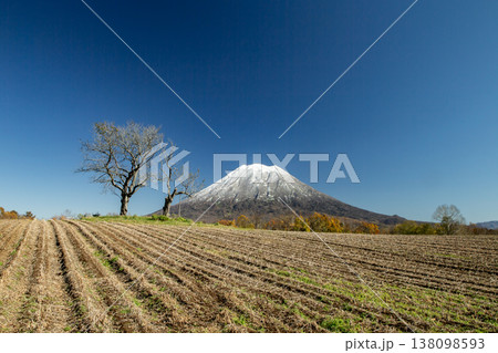初冠雪の羊蹄山 138098593