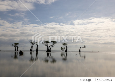 Beautiful tropical beach sea and ocean with mangrove tree on blue sky and white cloud Beautiful tropical beach sea and ocean with mangrove tree on blue sky and white cloud 138098603