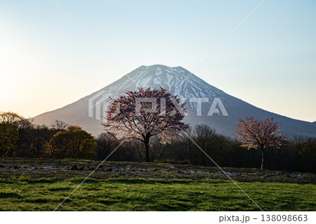 朝焼けの羊蹄山 朝焼けの羊蹄山 138098663