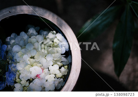 紫陽花の花手水7 紫陽花の花手水7 138098723