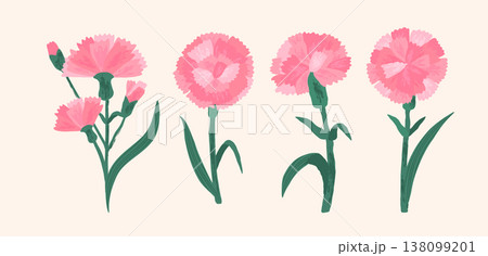 Pink carnations decoration set 138099201