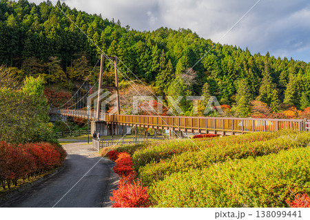豊田市の大井平公園の風のつり橋と紅葉の風景(愛知県) 138099441
