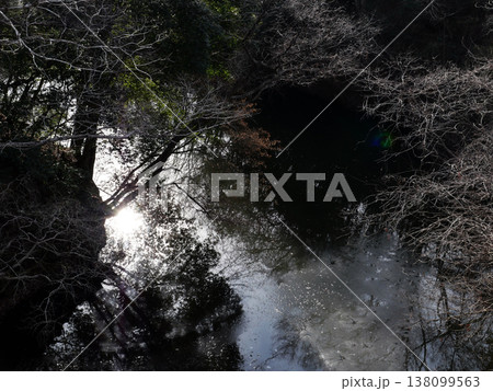 茨城県民の森。冬も極寒のある日、今は冬枯れの木々が静かに佇んでいるだけ。 138099563