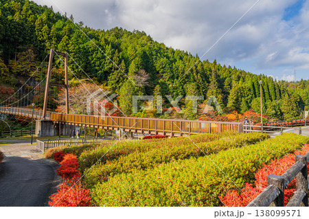 豊田市の大井平公園の風のつり橋と紅葉の風景(愛知県) 豊田市の大井平公園の風のつり橋と紅葉の風景(愛知県) 138099571