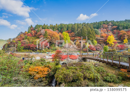 豊田市の大井平公園の風のつり橋と紅葉の風景(愛知県) 138099575