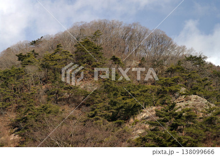 福島県、矢祭山。冬も極寒のある日、ハイキングにちょうど良い低山を歩いた。 福島県、矢祭山。冬も極寒のある日、ハイキングにちょうど良い低山を歩いた。 138099666