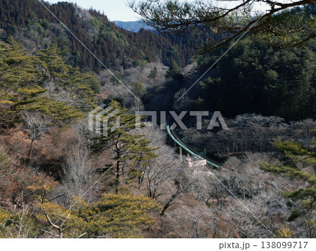 冬も極寒のある日、ハイキングにちょうど良い低山を歩いた。春にはツツジが満開になる山も今は冬枯れだ。 138099717