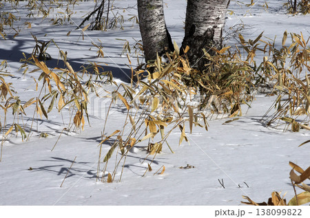 奥日光。純白に輝く山々は清々しく、澄みきった青空が大宇宙に広がっていた。至福の時。 138099822