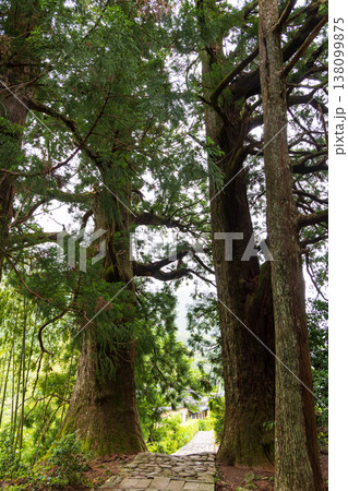 世界遺産 熊野古道 大門坂 世界遺産 熊野古道 大門坂 138099875