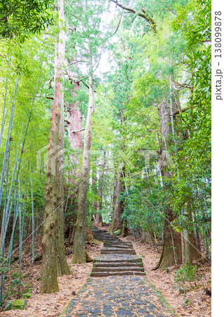世界遺産 熊野古道 大門坂 世界遺産 熊野古道 大門坂 138099878