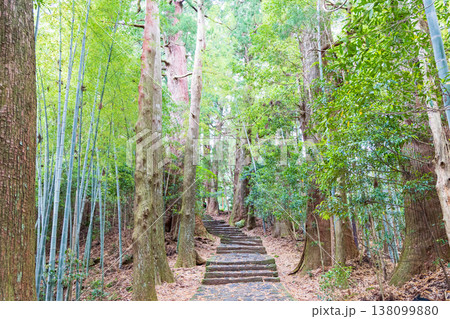 世界遺産　熊野古道　大門坂 138099880