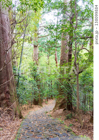 世界遺産 熊野古道 大門坂 世界遺産 熊野古道 大門坂 138099884