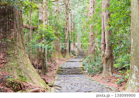 世界遺産 熊野古道 大門坂 世界遺産 熊野古道 大門坂 138099900