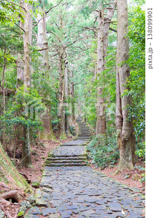世界遺産 熊野古道 大門坂 世界遺産 熊野古道 大門坂 138099901