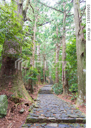 世界遺産 熊野古道 大門坂 世界遺産 熊野古道 大門坂 138099903