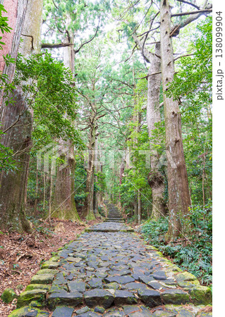 世界遺産 熊野古道 大門坂 世界遺産 熊野古道 大門坂 138099904