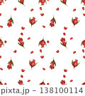 Delicate Pomegranate Floral Illustrations. Lightly Painted Pomegranate Flower Backgrounds For Cards 138100114