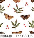 Retro Insect Design. Oldfashioned Moths With Greenery. Antique Winged Bugs And Foliage Artwork 138100120