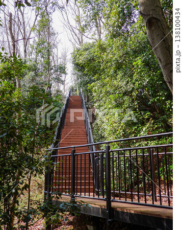 あつぎこどもの森公園　歩いて気持ちいい空中回廊 138100434