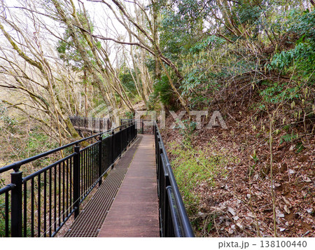 あつぎこどもの森公園　歩いて気持ちいい空中回廊 138100440