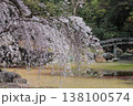 京都　近衛邸跡のしだれ桜 138100574