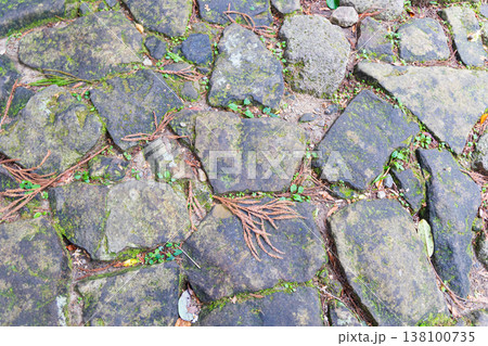 世界遺産　熊野古道　大門坂　石畳 138100735