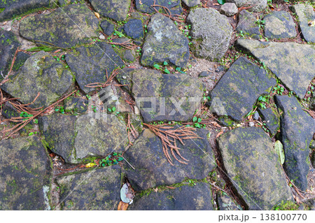 世界遺産　熊野古道　大門坂　石畳 138100770