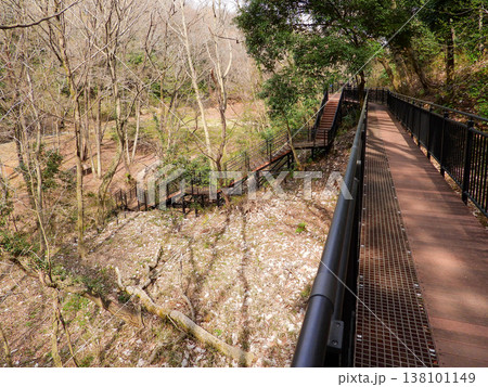 あつぎこどもの森公園　えのきの広場の風景 138101149