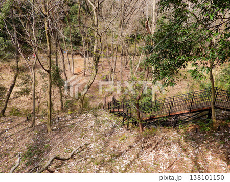 あつぎこどもの森公園　えのきの広場の風景 138101150