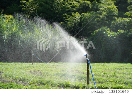 公園の散水スプリンクラー 138101649