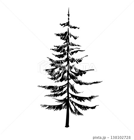 Pine Tree Line Art 138102728