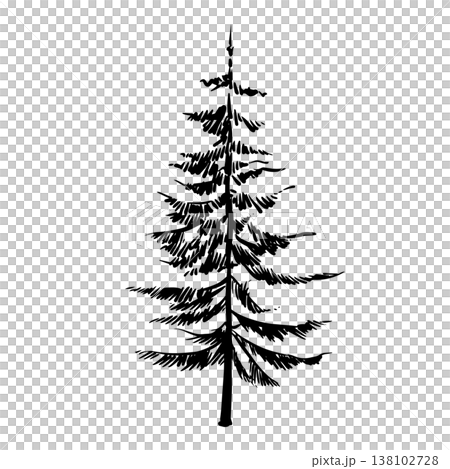 Pine Tree Line Art 138102728