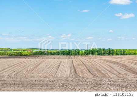 作付け前に整地された大きな畑（農業イメージ） 138103155