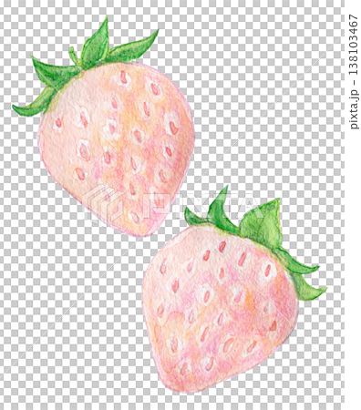 Watercolor illustration, hand-drawn illustration, white strawberry Watercolor illustration, hand-drawn illustration, white strawberry 138103467